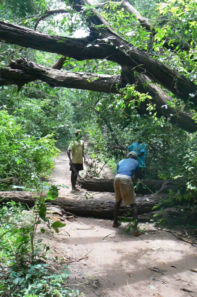 Foto — Guiné-Bissau